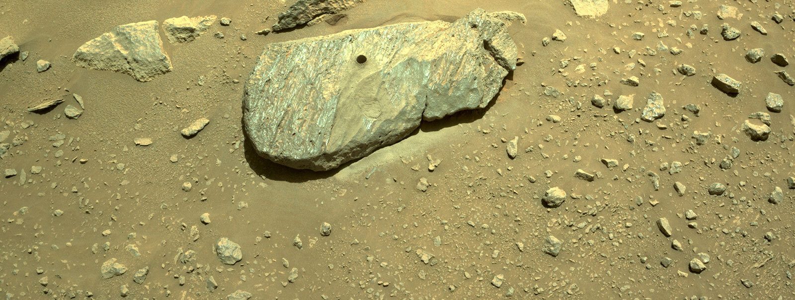 Nasa collected Mars Rock Sample