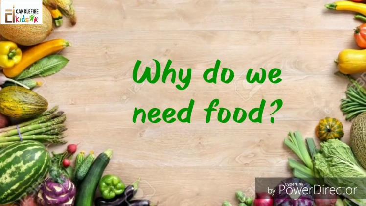 Food - What Is it and How Does it Help Us