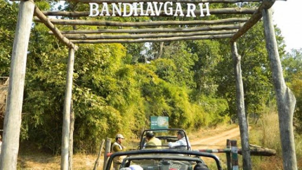 Bandhavgarh National Park, Umaria District of Madhya Pradesh